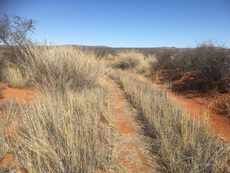 0 Bedroom Property for Sale in Prieska Northern Cape